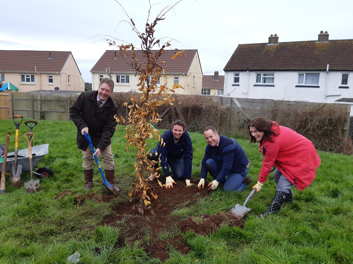 smartline-gallery-tree-planting