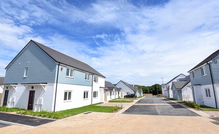 complaints-hero-piskie