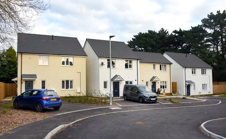 article-StColumb