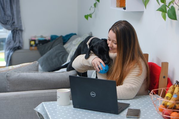 permission-hero-dog-laptop