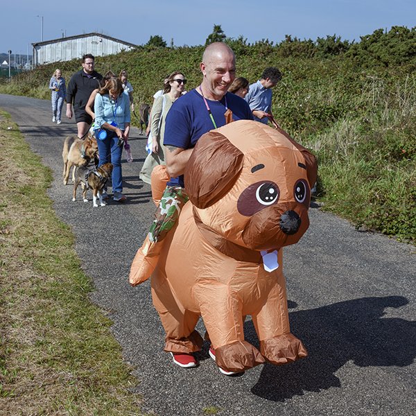 press-release-IIP-Gold-3-600px