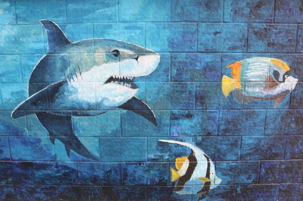 article-loan-shark