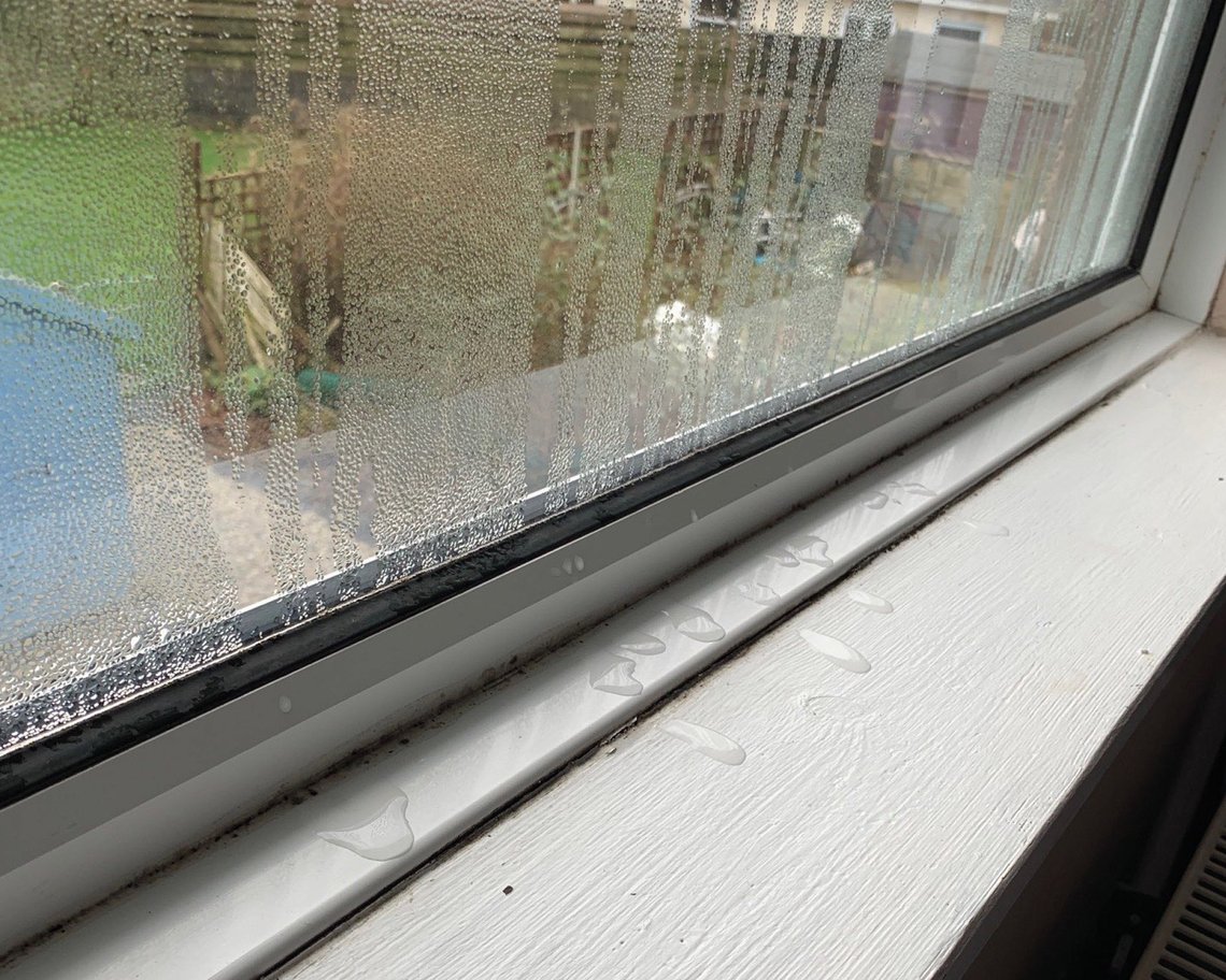 damp-mould-gallery-window