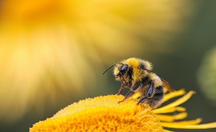 dmitry-grigoriev-yxXpjF-RrnA-unsplash