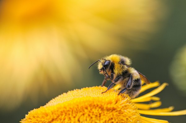 dmitry-grigoriev-yxXpjF-RrnA-unsplash