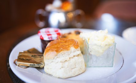 soyoung-han-oQON_JxVpv4-unsplash